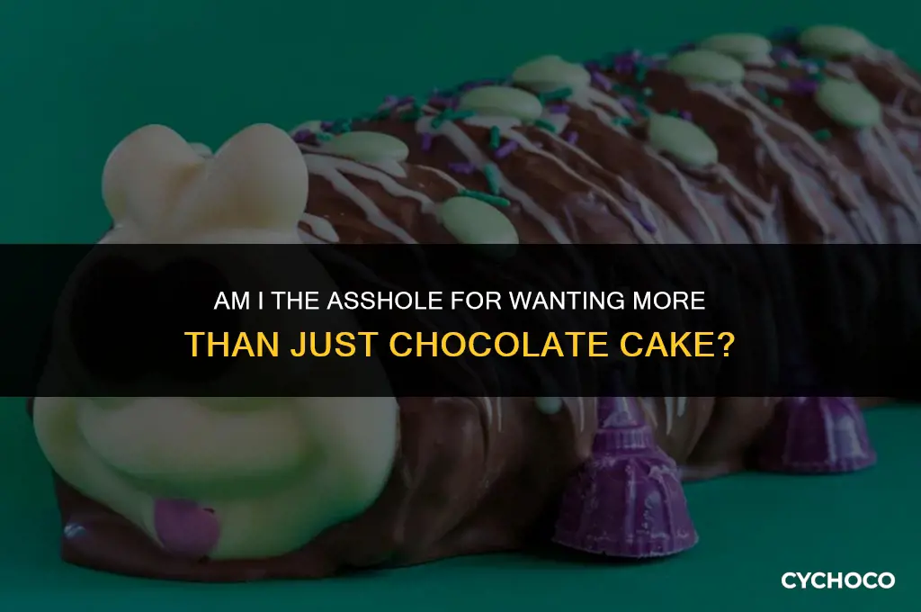 am i the asshole chocolate cake