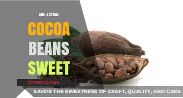 Unveiling the Truth: Are Cocoa Beans Naturally Sweet?