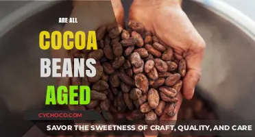 Unveiling the Truth: Do All Cocoa Beans Undergo Aging?