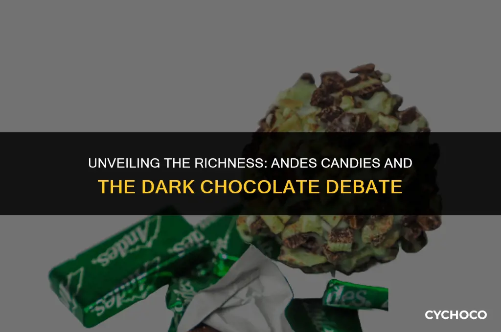 are andes candies dark chocolate