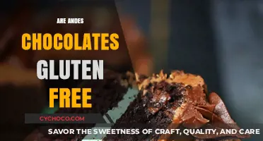 Are Andes Mints Gluten-Free? A Sweet Treat Analysis