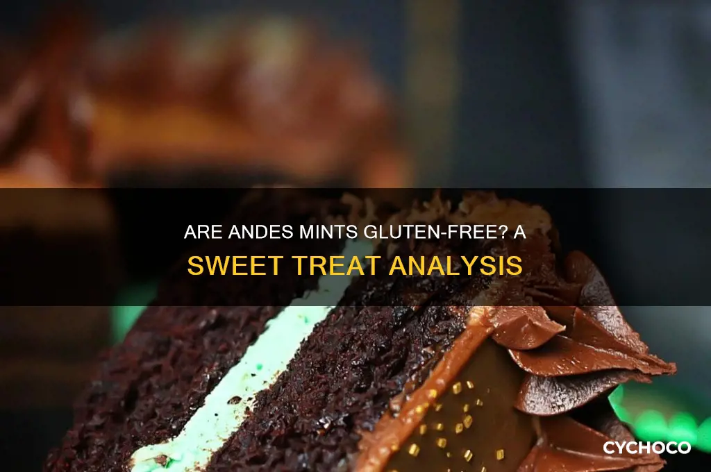 are andes chocolates gluten free