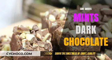 Are Andes Mints Dark Chocolate? Unwrapping the Sweet Mystery