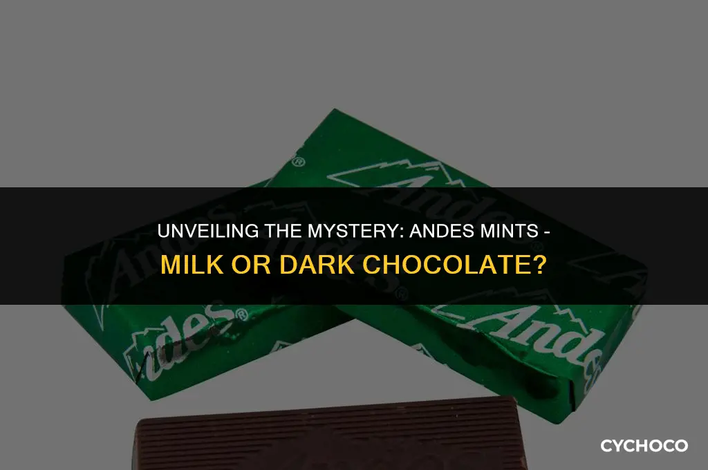 are andes mints milk or dark chocolate
