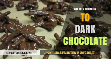 Sweet or Bitter? Unraveling the Mystery of Ants and Dark Chocolate Attraction