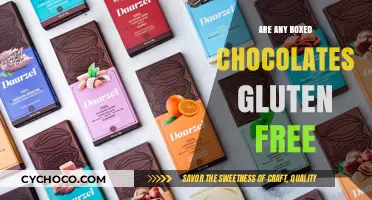 Indulge Safely: A Guide to Gluten-Free Boxed Chocolates