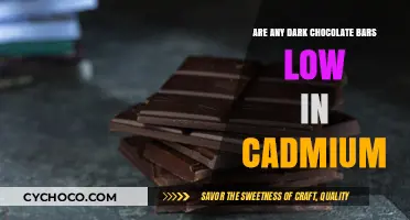 Exploring Low-Cadmium Options in Dark Chocolate Bars