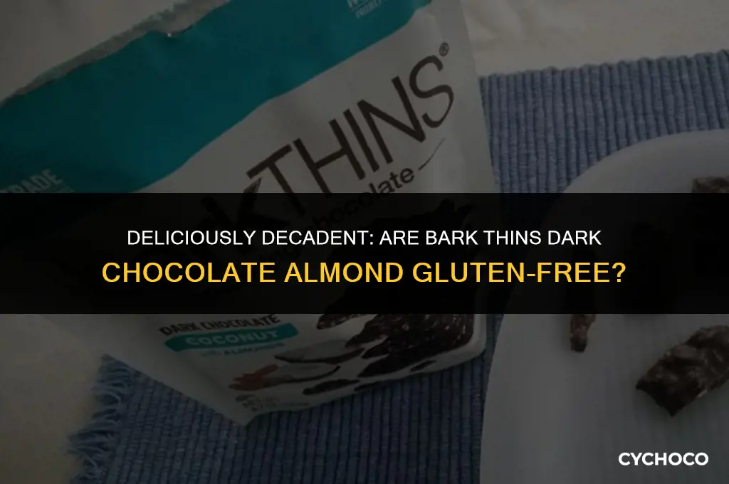 are bark thins dark chocolate almond gluten free
