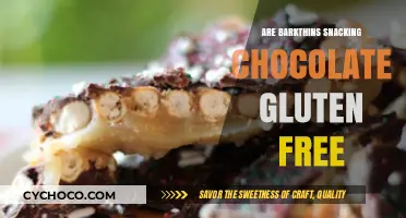 Deliciously Decadent: Are BarkThins Snacking Chocolates Gluten-Free?