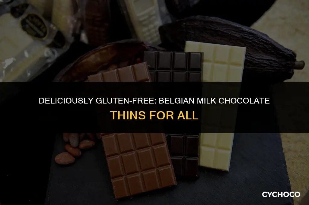 are belgian milk chocolate thins gluten free
