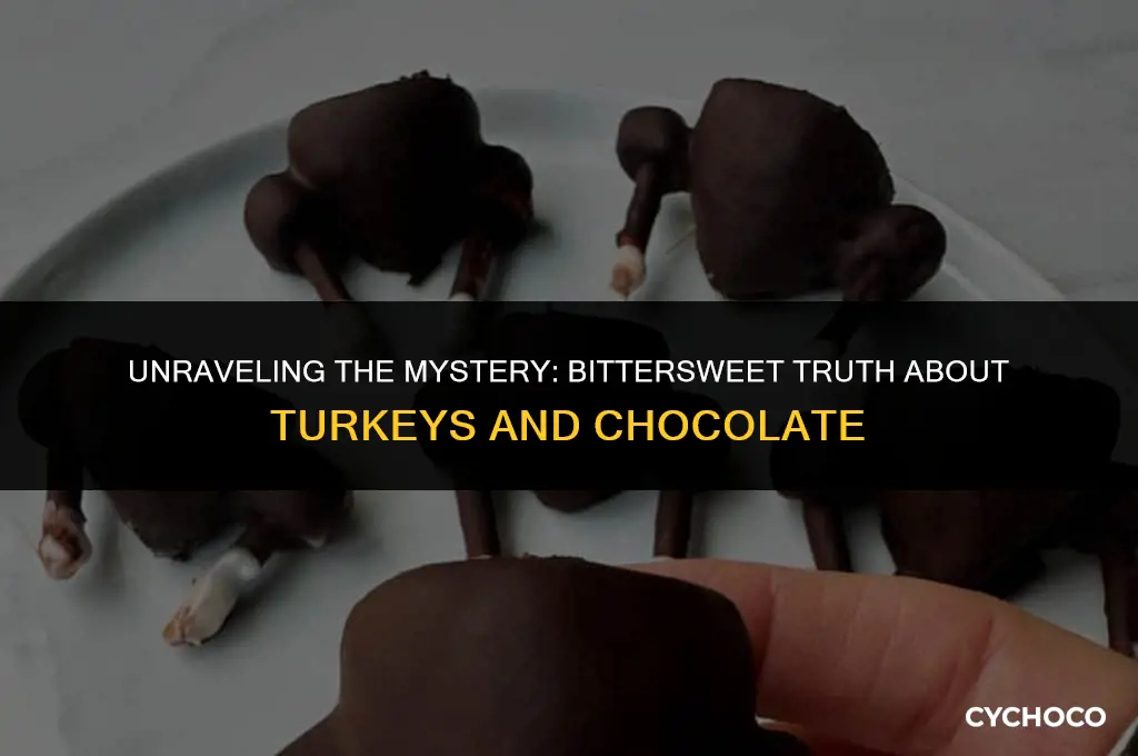 are bissingers turkeys milk or dark chocolate