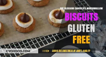 Deliciously Gluten-Free: Blossom Chocolate Marshmallow Biscuits Unveiled