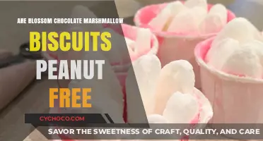 Delicious Blossom Chocolate Marshmallow Biscuits: A Peanut-Free Treat!