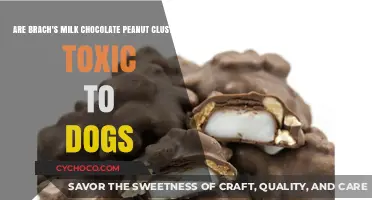 Brach's Milk Chocolate Peanut Clusters: A Toxic Treat for Dogs?