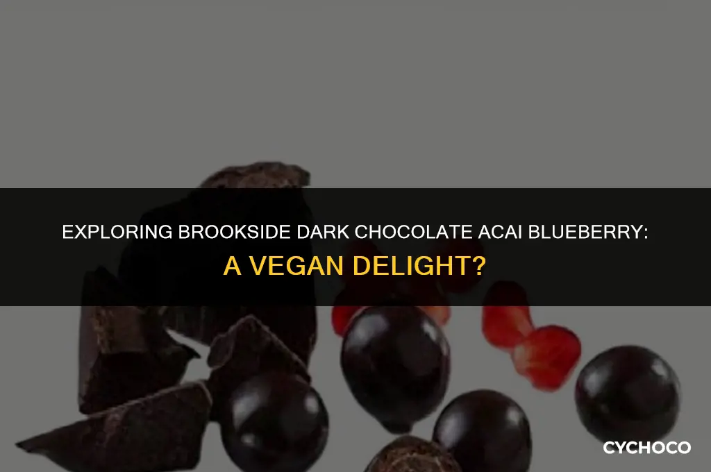 are brookside dark chocolate acai blueberry vegan