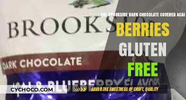 Deliciously Healthy: Brookside Dark Chocolate Acai Berries - Gluten-Free Delight!