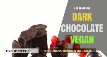 Exploring Brookside Dark Chocolate: A Vegan's Delight or Dilemma?