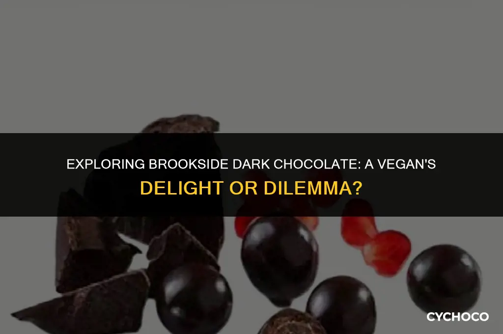 are brookside dark chocolate vegan