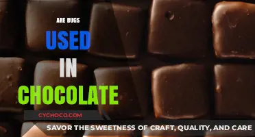Unraveling the Truth: Are Bugs Secretly Used in Chocolate Production?