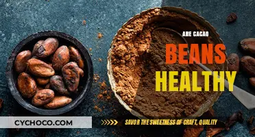 Unveiling the Surprising Health Benefits of Cacao Beans