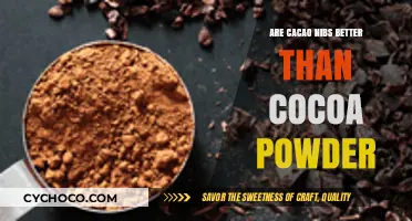 Unveiling the Truth: Cacao Nibs vs Cocoa Powder - Which is Better?