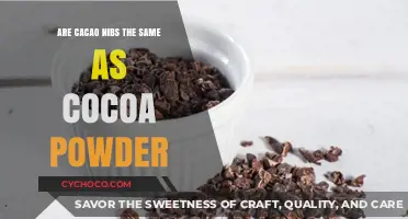 Unveiling the Truth: Cacao Nibs vs Cocoa Powder Explained