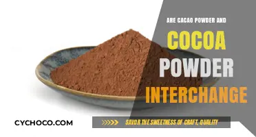 Unveiling the Truth: Can Cacao and Cocoa Powders Be Swapped?