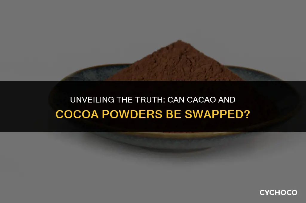 are cacao powder and cocoa powder interchangeable