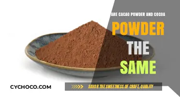 Unveiling the Truth: Cacao vs Cocoa Powder - A Delicious Dilemma