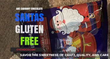 Deliciously Safe Treats: Are Cadbury Chocolate Santas Gluten-Free?