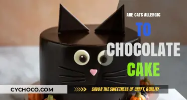 Decoding Feline Allergies: The Truth About Cats and Chocolate Cake