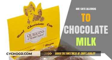 Decoding Feline Allergies: The Truth About Cats and Chocolate Milk