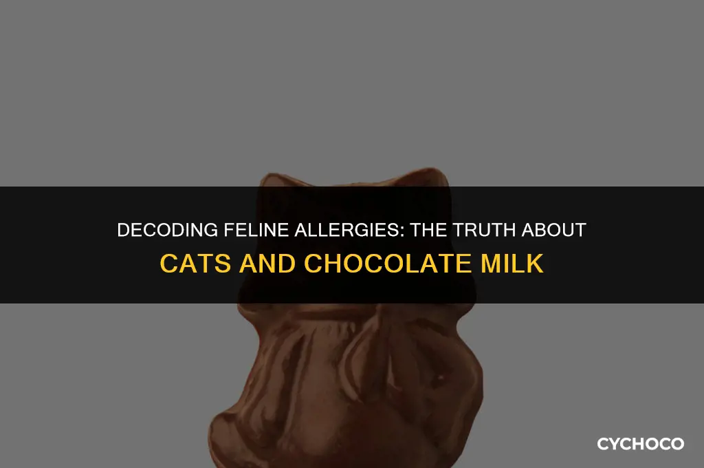are cats allergic to chocolate milk