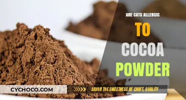 Cocoa Powder and Cats: Unraveling the Allergy Mystery