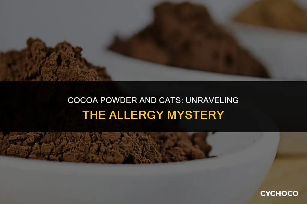 are cats allergic to cocoa powder