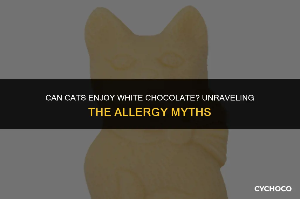 are cats allergic to white chocolate
