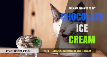 Sweet Treats for Feline Friends: Chocolate Ice Cream Edition
