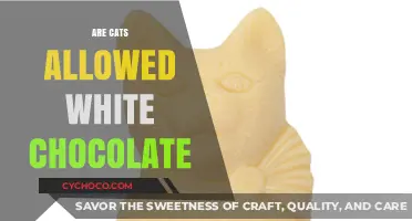 Can Cats Enjoy White Chocolate? A Feline's Guide to Sweet Treats