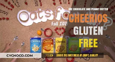Chocolate and Peanut Butter Cheerios: Gluten-Free or Not?