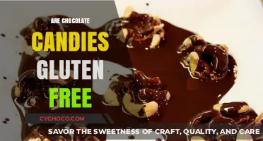 Delving into the World of Chocolate Candies: A Gluten-Free Guide