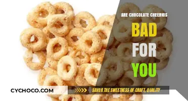 Unveiling the Truth: Are Chocolate Cheerios a Healthy Choice?