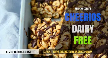 Discovering Dairy-Free Delights: Are Chocolate Cheerios Your Next Breakfast Choice?