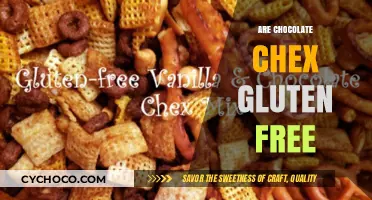 Delving into the World of Chocolate Chex: A Gluten-Free Delight?