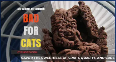 The Sweet Danger: Why Chocolate Cookies Are Toxic to Cats