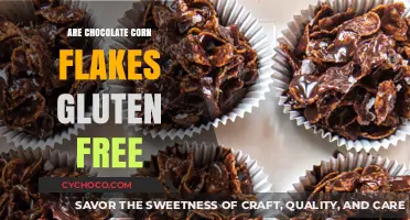 Crunchy Delight: Are Chocolate Corn Flakes Gluten-Free?