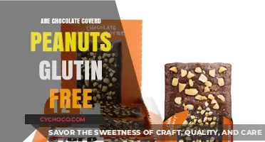 Discovering the Truth: Are Chocolate-Covered Peanuts Gluten-Free?