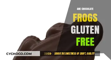 Hopping into Health: The Gluten-Free Status of Chocolate Frogs
