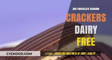 Delving into the Dairy-Free Delight of Chocolate Graham Crackers