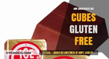 Delicious and Safe: Are Chocolate Ice Cubes Gluten-Free?