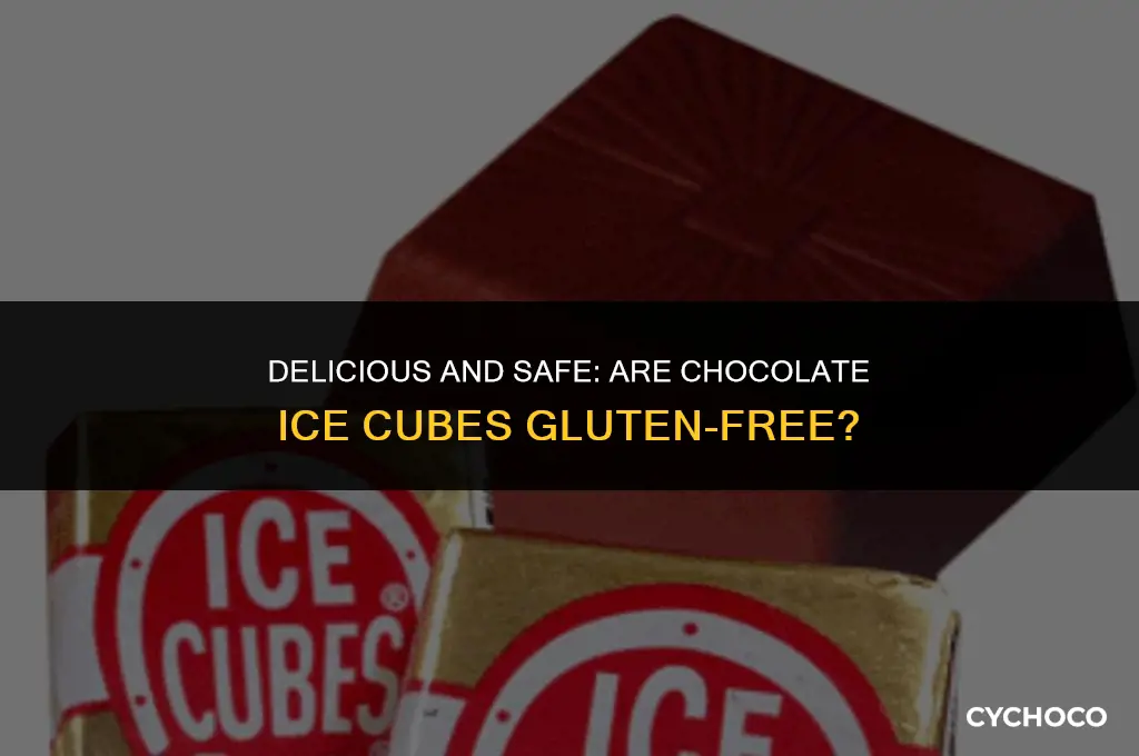 are chocolate ice cubes gluten free